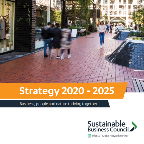 SBC Strategy 2020 – 2025