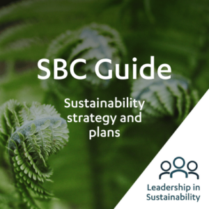 SBC Guide – Sustainability strategy and plans