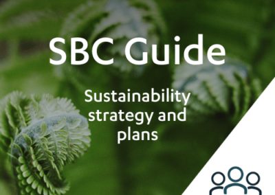 SBC Guide – Sustainability strategy and plans