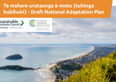 SBC and CLC’s draft National Adaptation Plan submission, June 2022