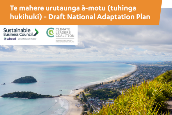 SBC and CLC’s draft National Adaptation Plan submission, June 2022