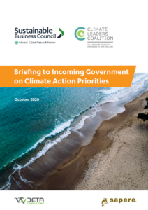 Briefing on Climate Action Priorities
