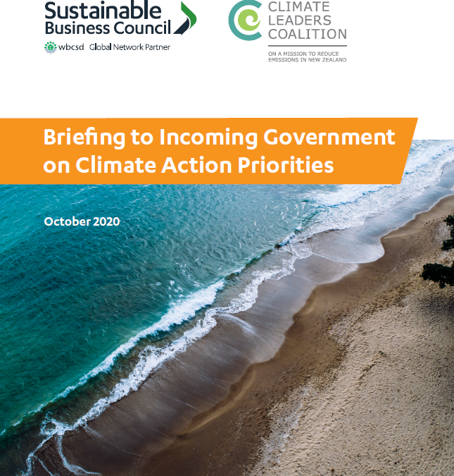 Briefing on Climate Action Priorities