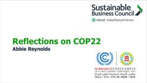 Abbie Reynolds: Reflections on COP22