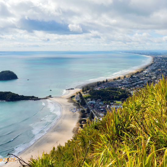 National Adaptation Plan critical framework for building New Zealand’s climate resilience