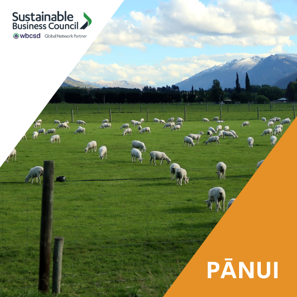 Pānui news – 6 October