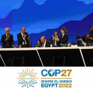 COP27: On the ground in Sharm El Sheik, Egypt