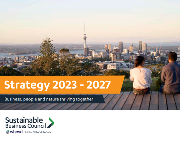 SBC Strategy 2023-2027