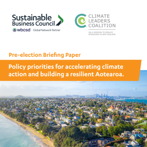 Business leaders outline election priorities to drive climate action 