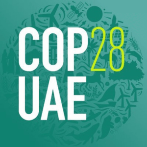 Countdown to COP28: Members on the ground