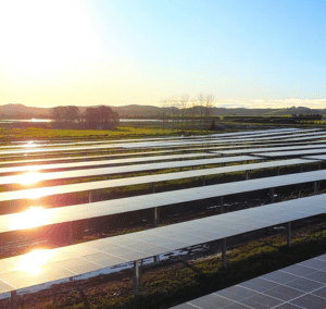 Q&A with The Warehouse Group on historic solar milestone