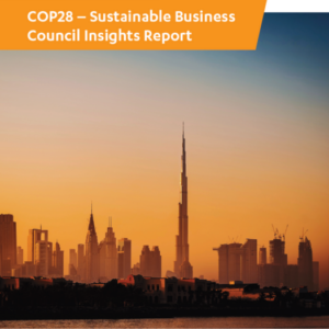 COP28 – Sustainable Business Council Insights Report