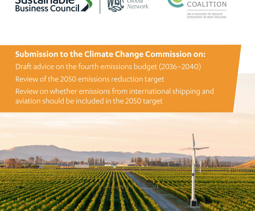 SBC and CLC submission on the Climate Change Commission’s Pathways Consultation