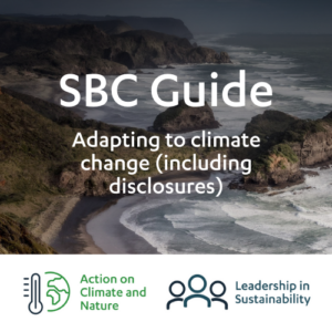 SBC Guide: Adapting to climate change (including disclosures)
