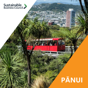 Pānui news – 6 June