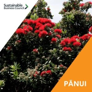 Pānui news – 5 December