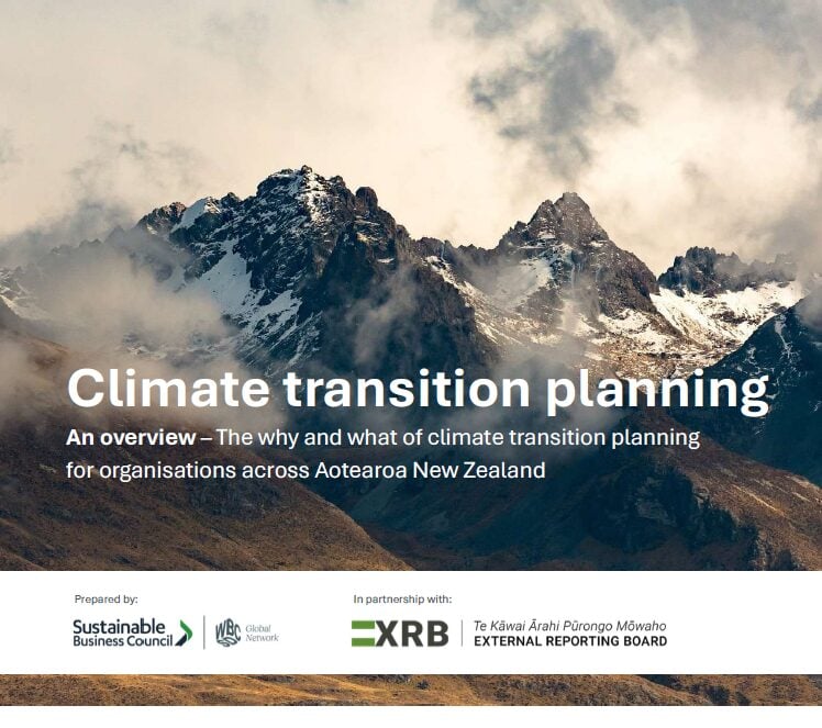 Climate transition planning: Overview