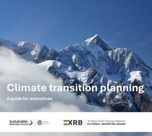 Climate transition planning: Executive guide