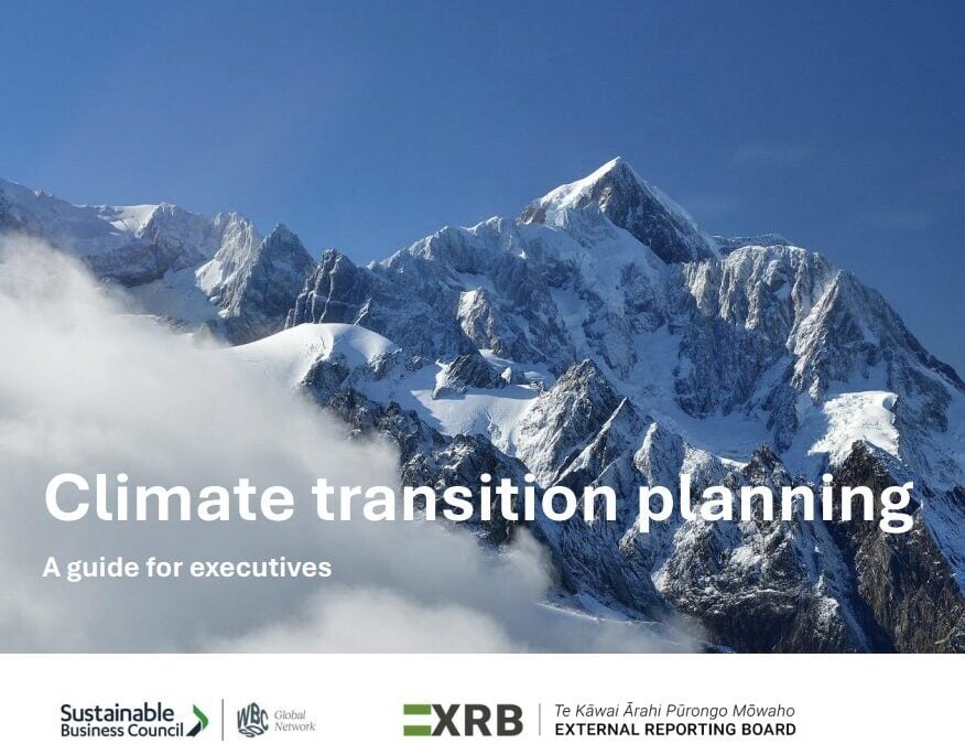 Climate transition planning: Executive guide