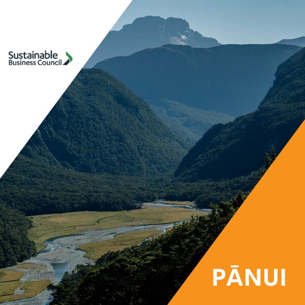 Pānui news – 19 June