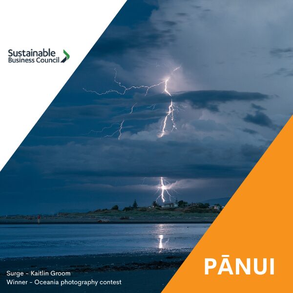 Pānui news – 20 November