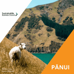 Pānui news – 26 February