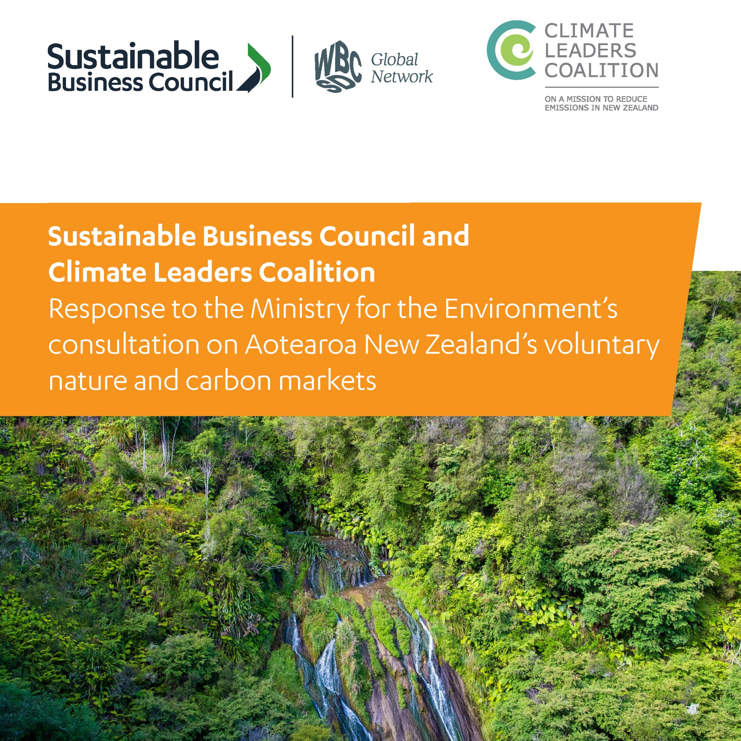 Voluntary Nature and Carbon Markets – SBC CLC Response Feb 2026 Tile